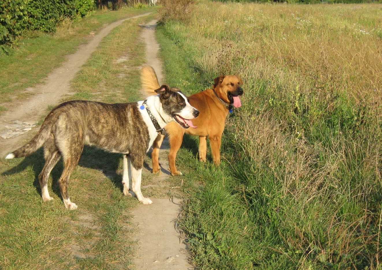 september 2009 019.jpg