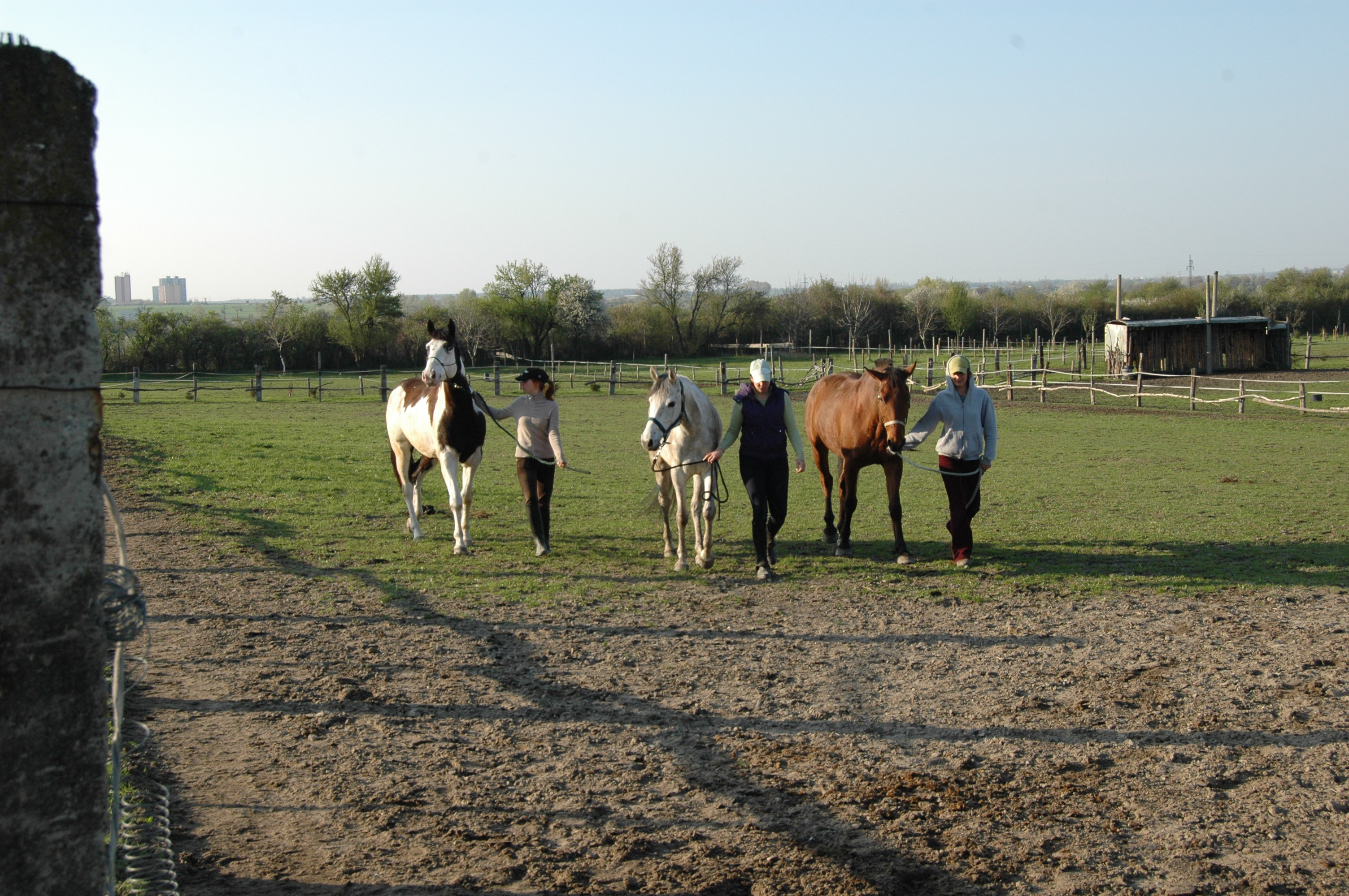 DSC_5175.JPG