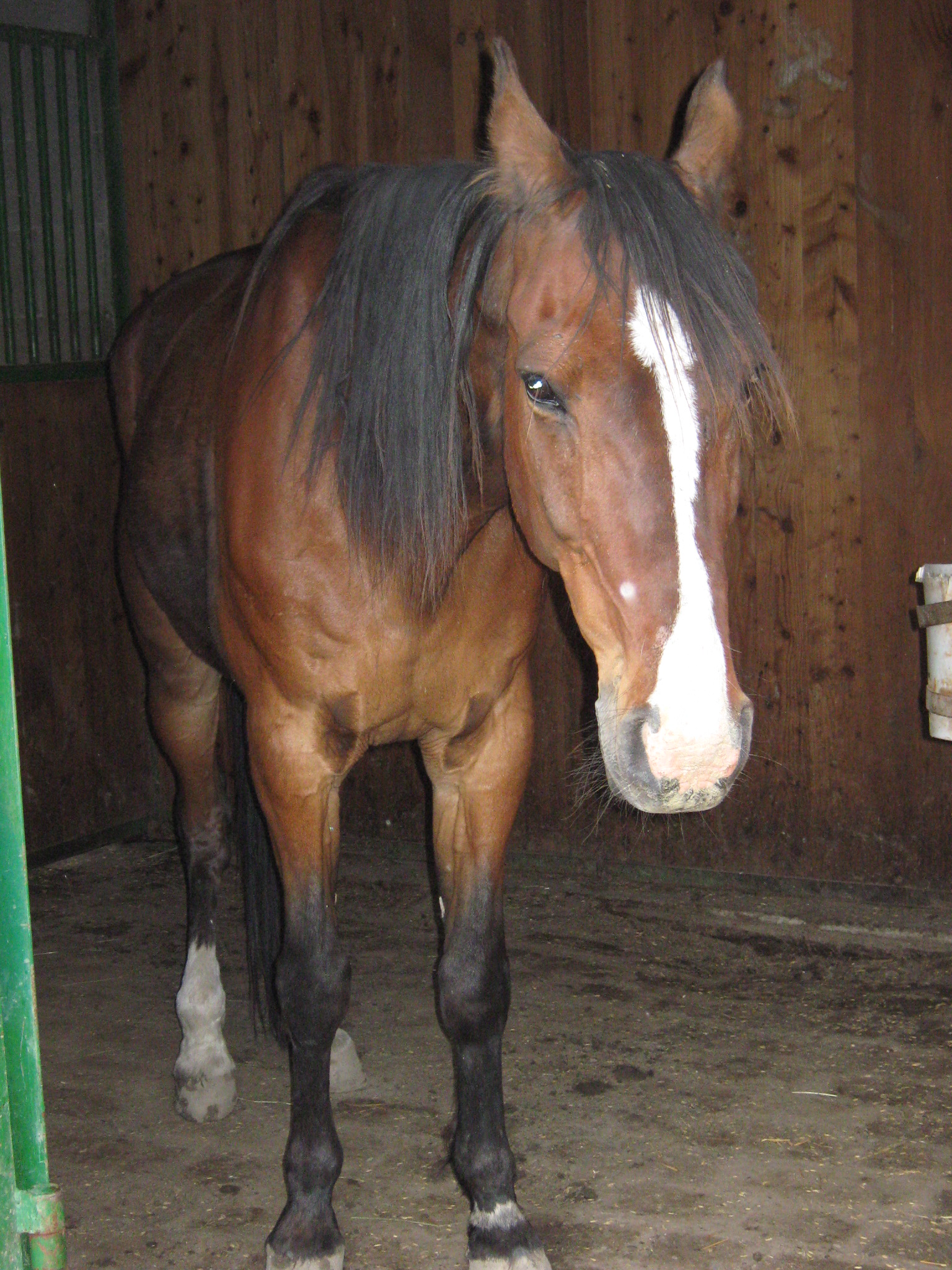 Casta jun 2010 018.jpg