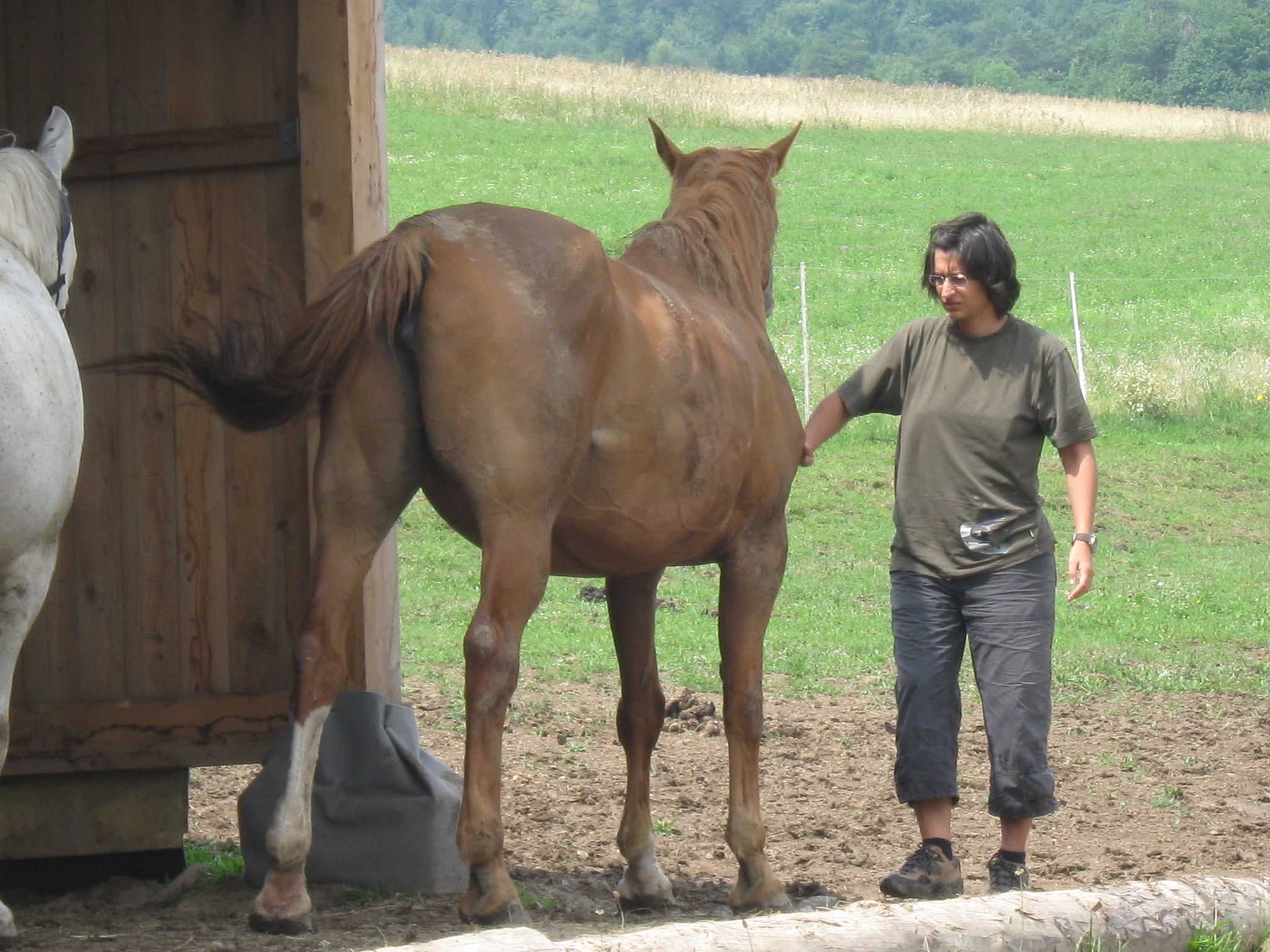 jablonka-jul-2010-286