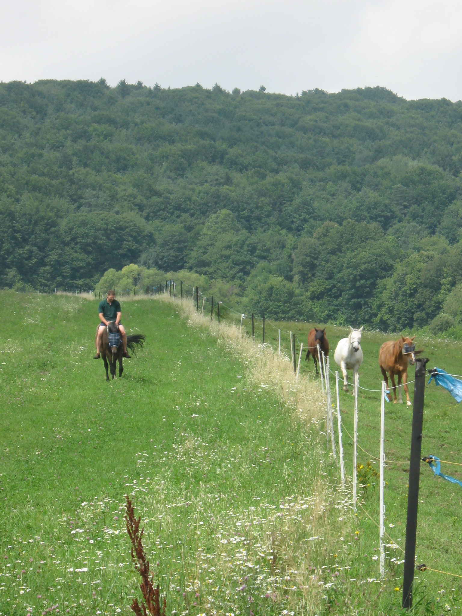 jablonka-jul-2010-300