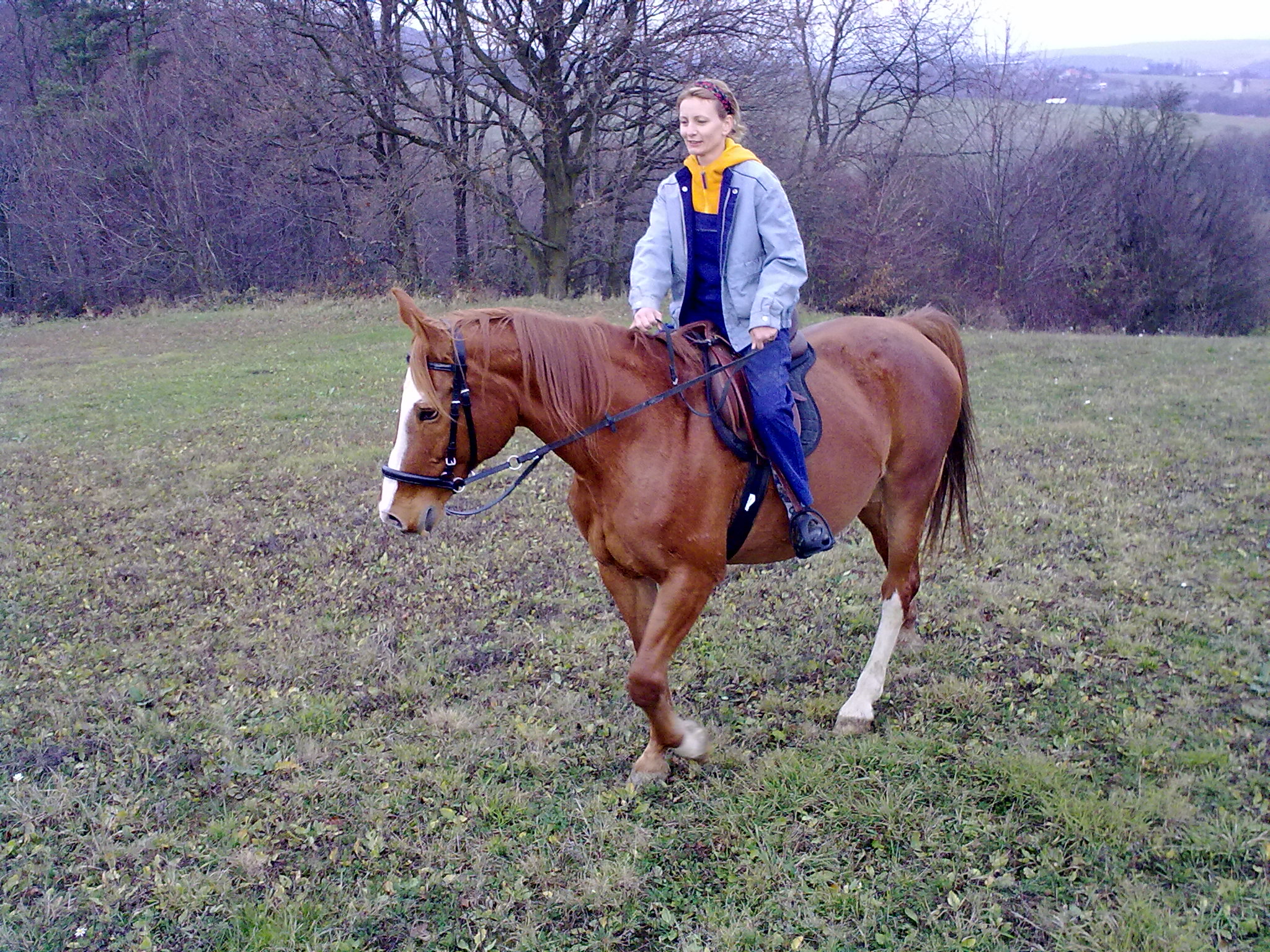 Jablonka 15.11.10 004