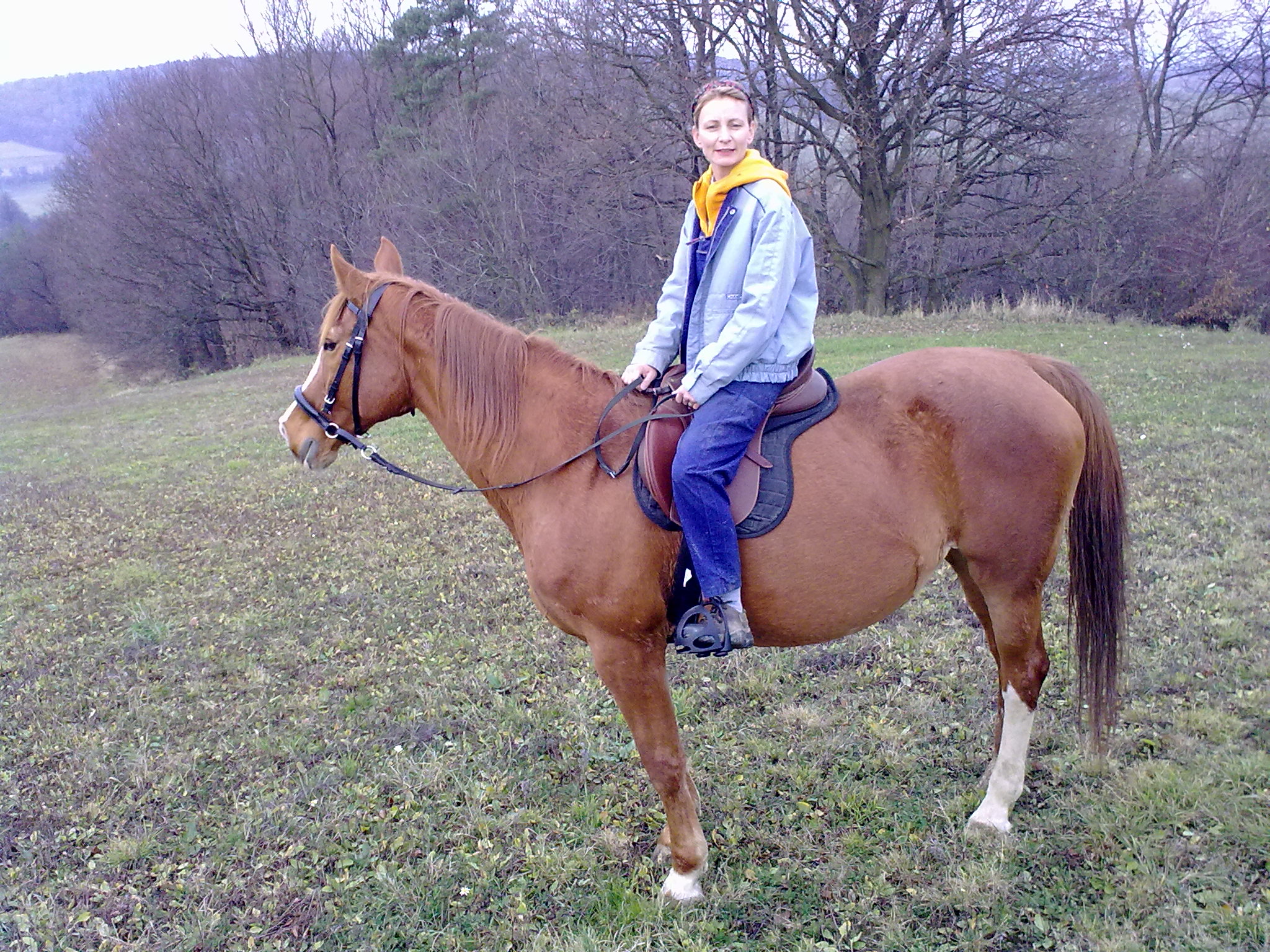 Jablonka 15.11.10 006