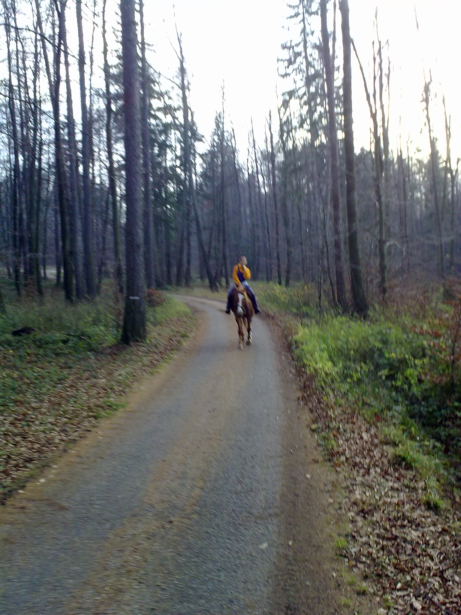 Jablonka 15.11.10 010
