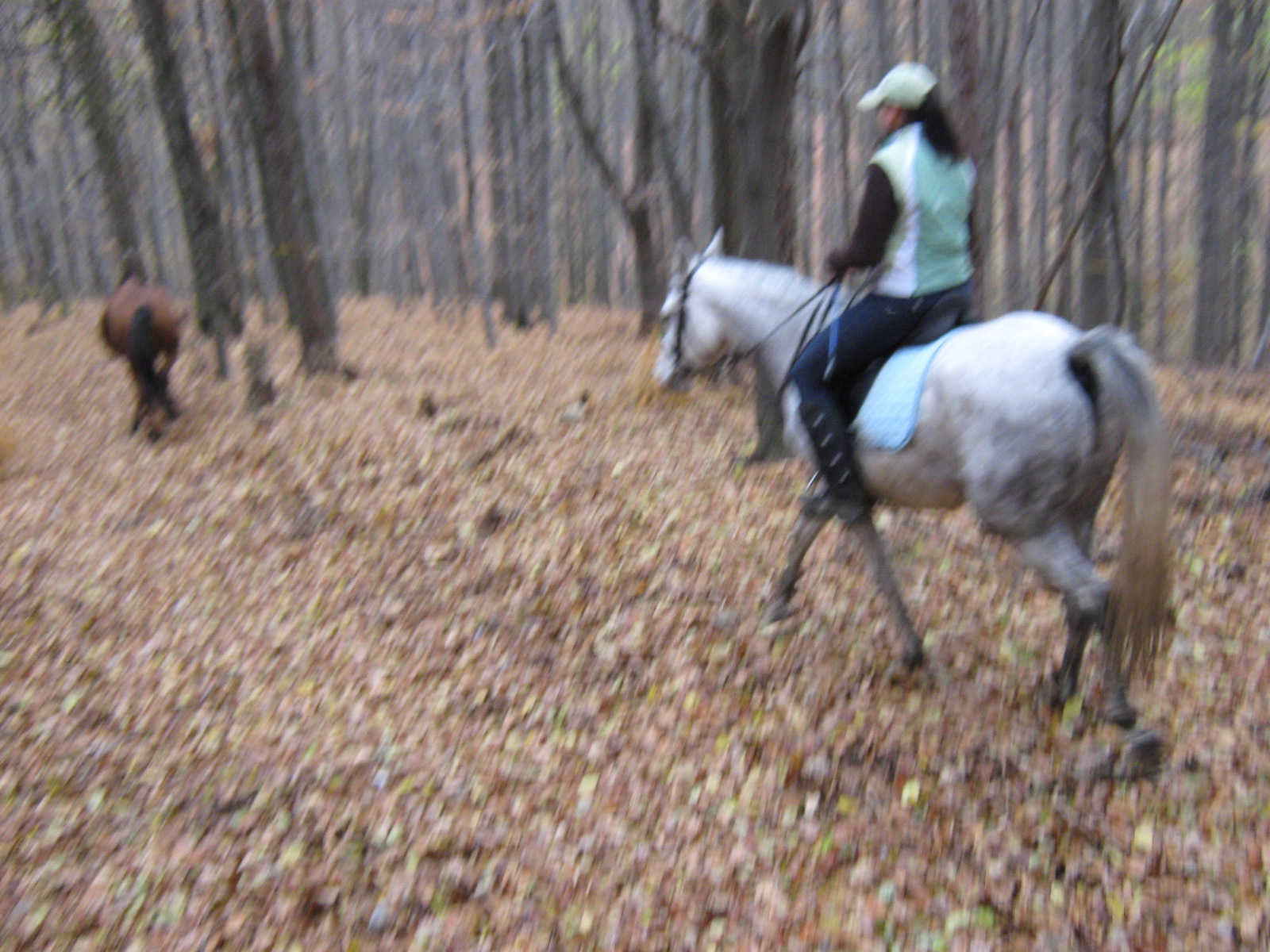 november 2009 006.jpg