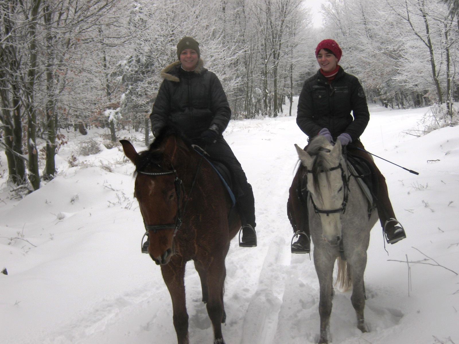 januar 2010 019.jpg