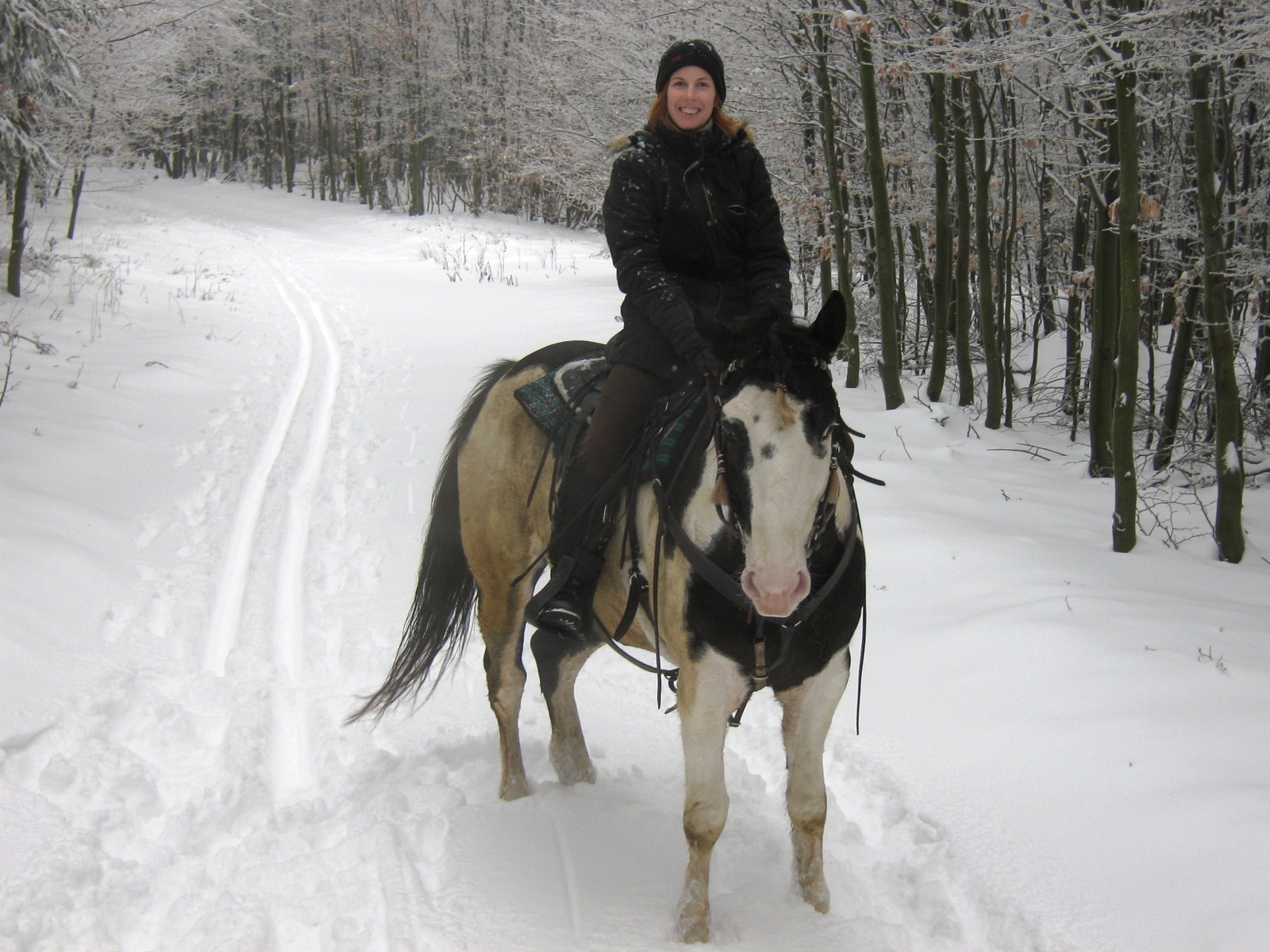 januar 2010 021.jpg