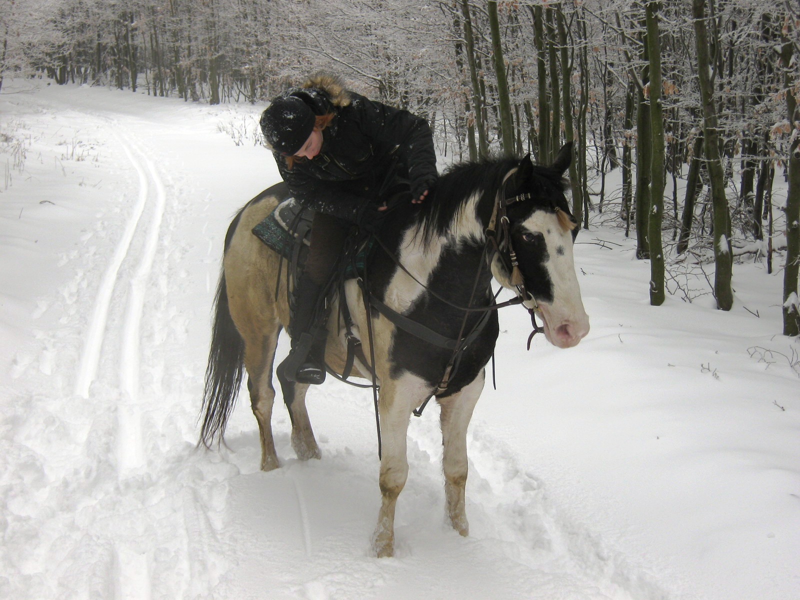 januar 2010 022.jpg