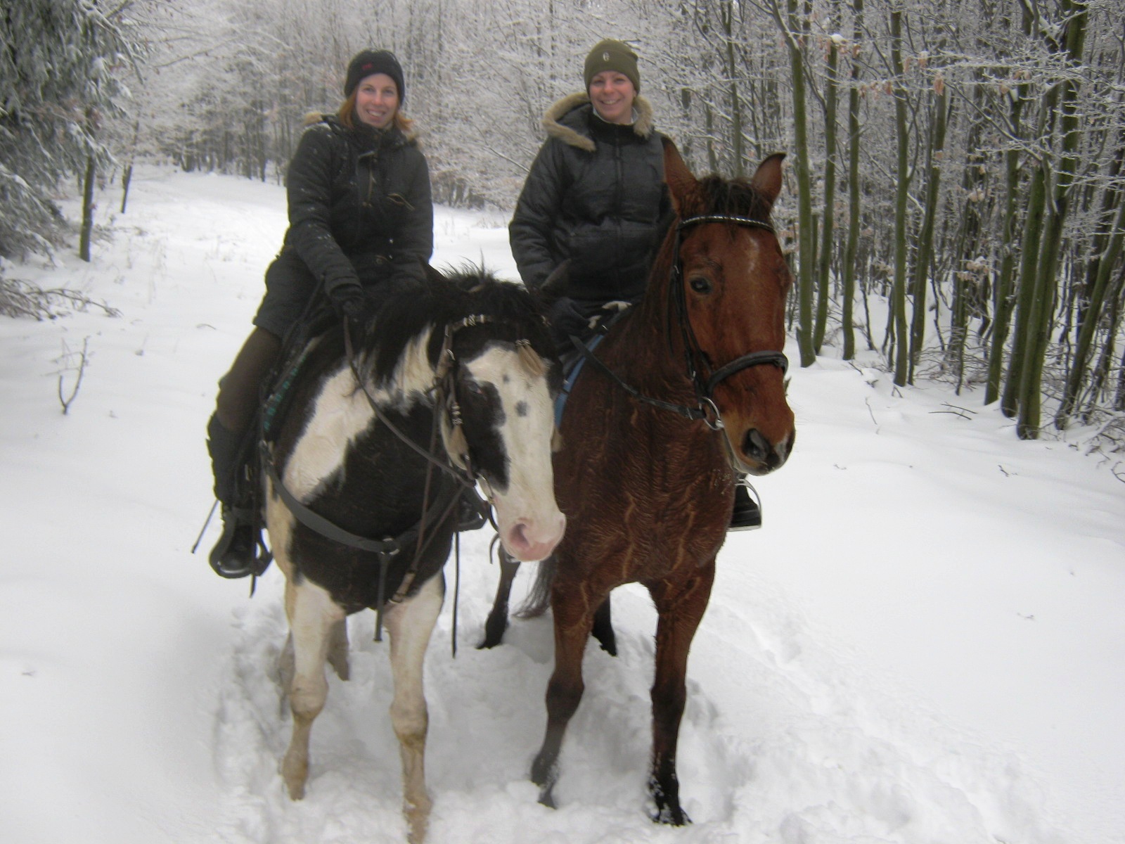 januar 2010 024.jpg