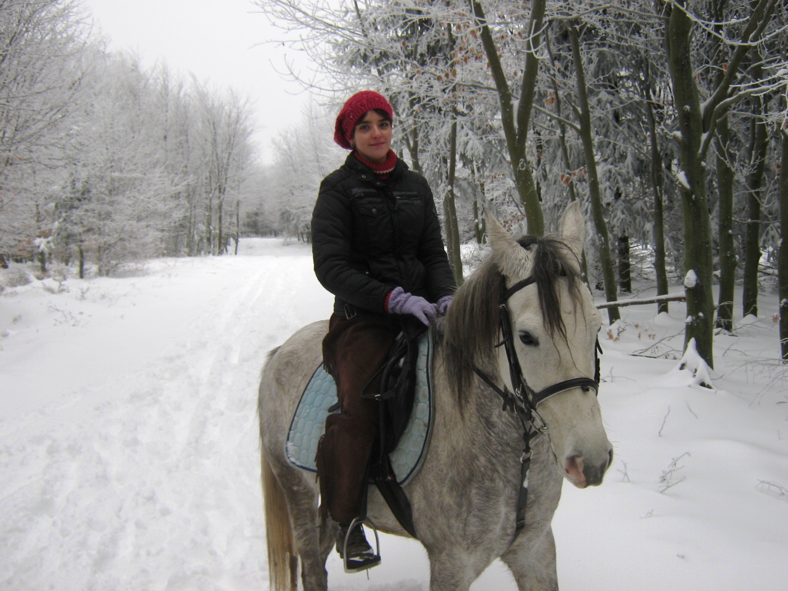 januar 2010 026.jpg