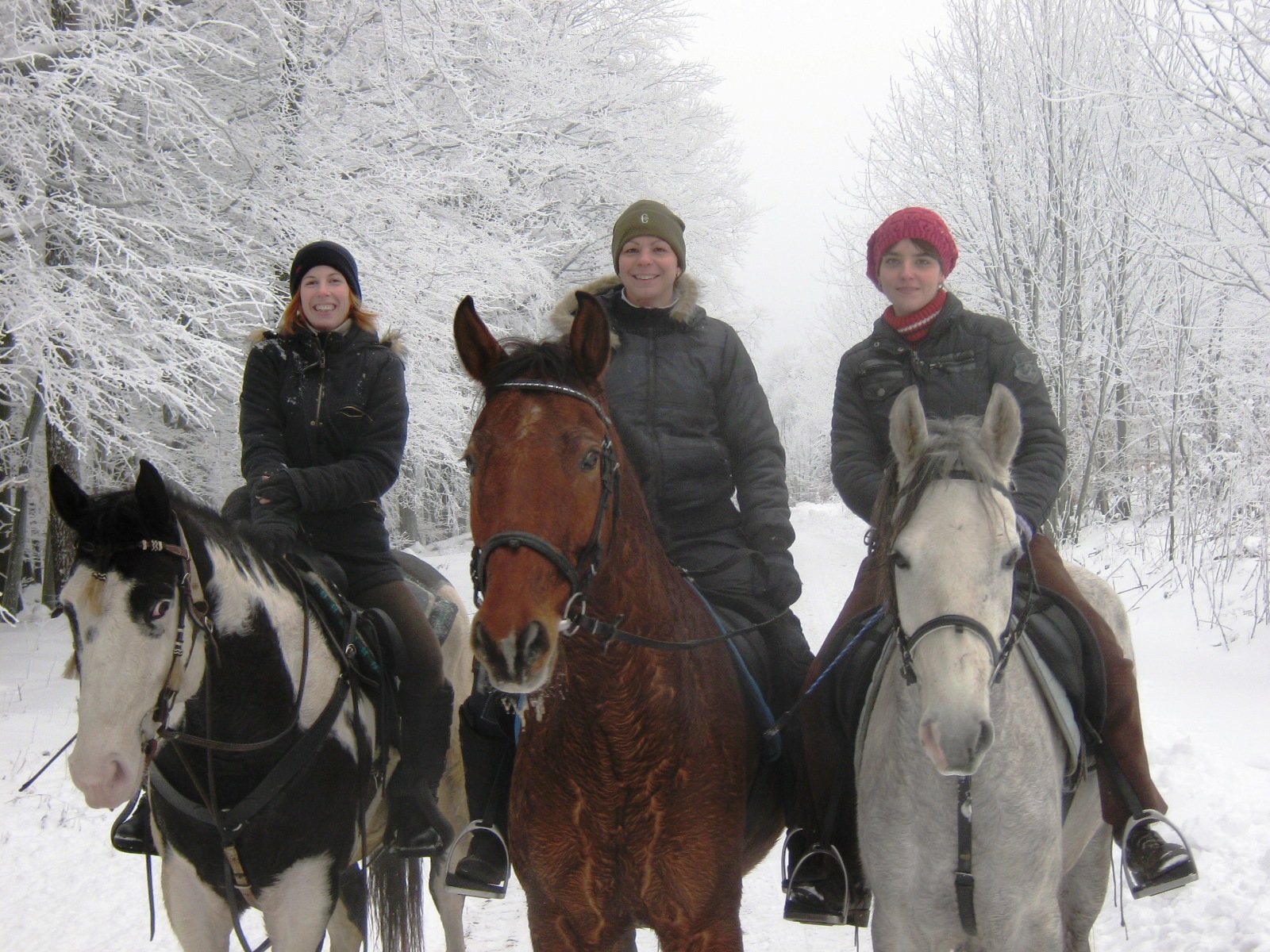 januar 2010 034.jpg