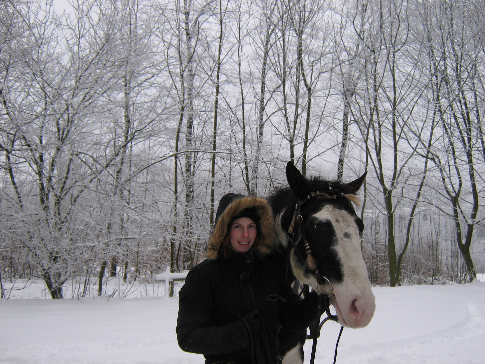 januar 2010 039.jpg