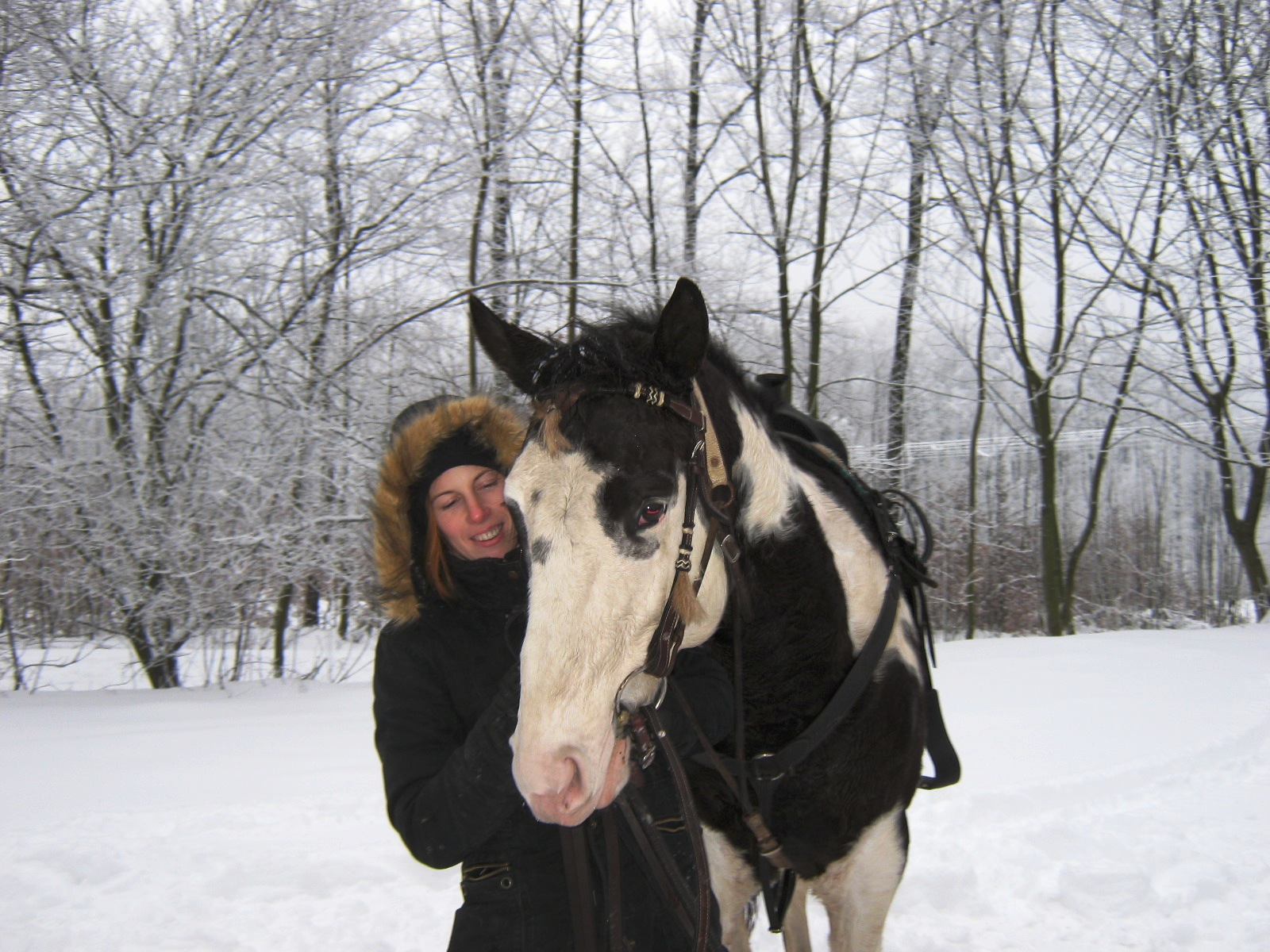 januar 2010 040.jpg