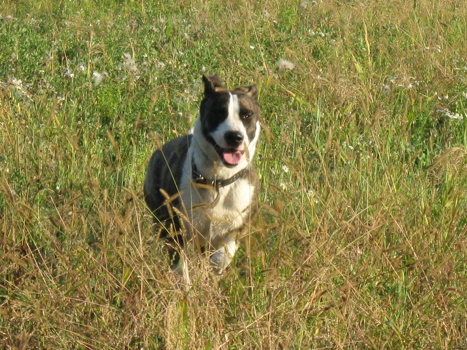 september 2009 009.jpg