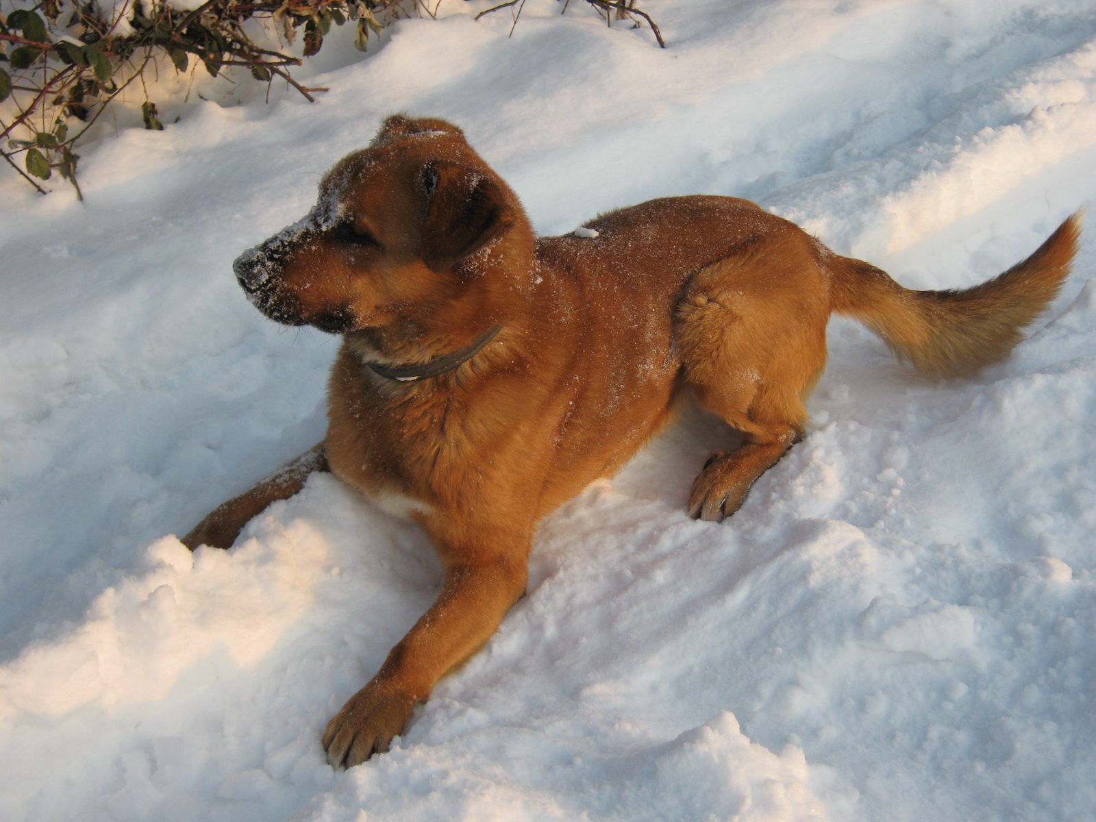 januar 2010 015.jpg