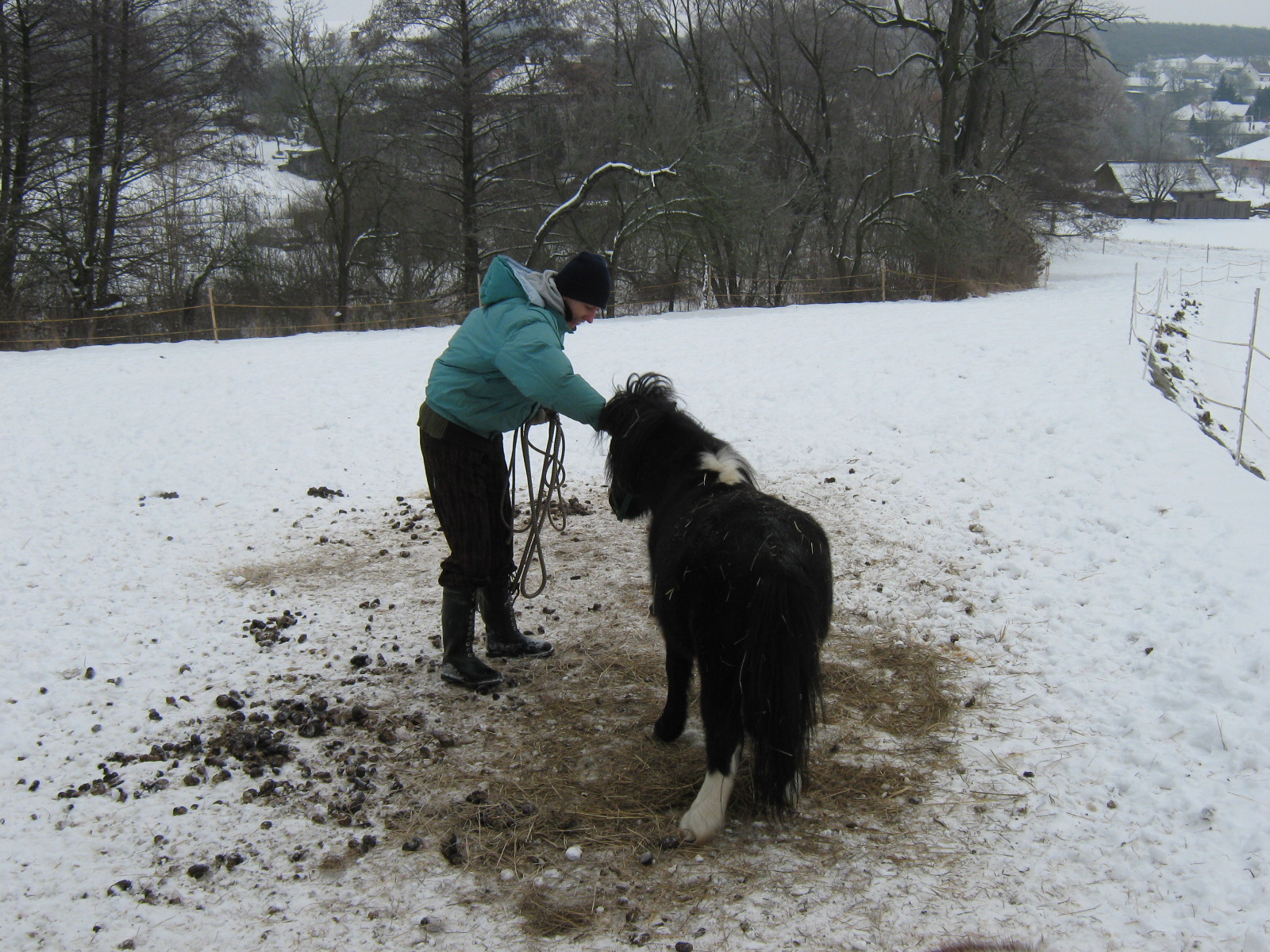 Jablonka-januar 2010 010.jpg