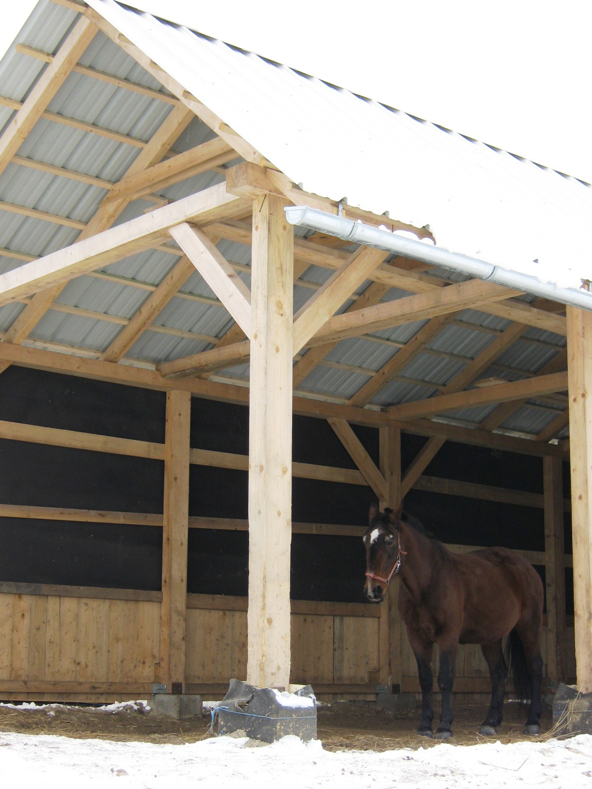 Jablonka-januar 2010 023.jpg