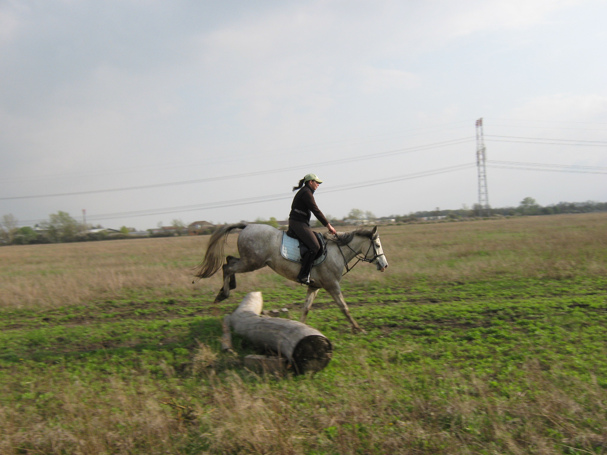 April 2010 022.jpg