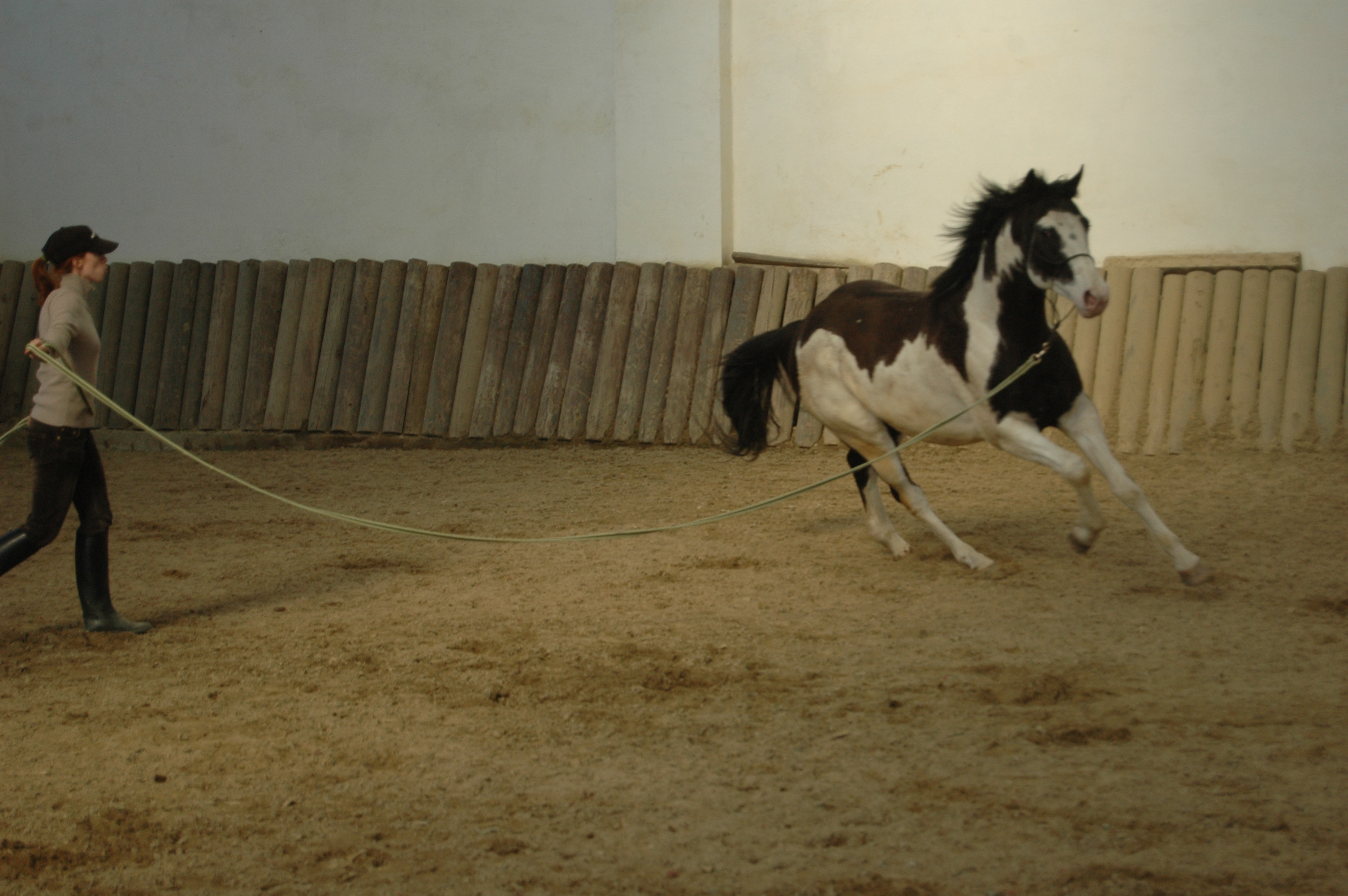 DSC_5001.JPG