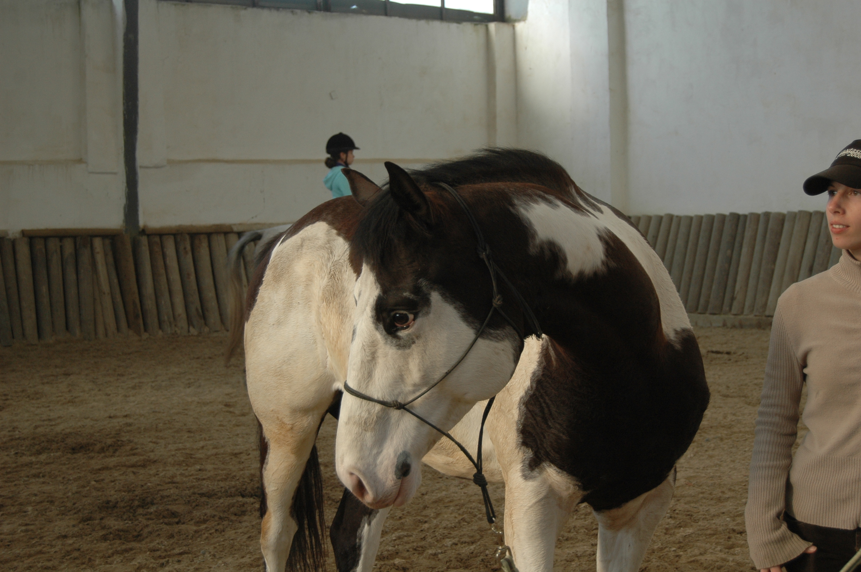 DSC_5081.JPG