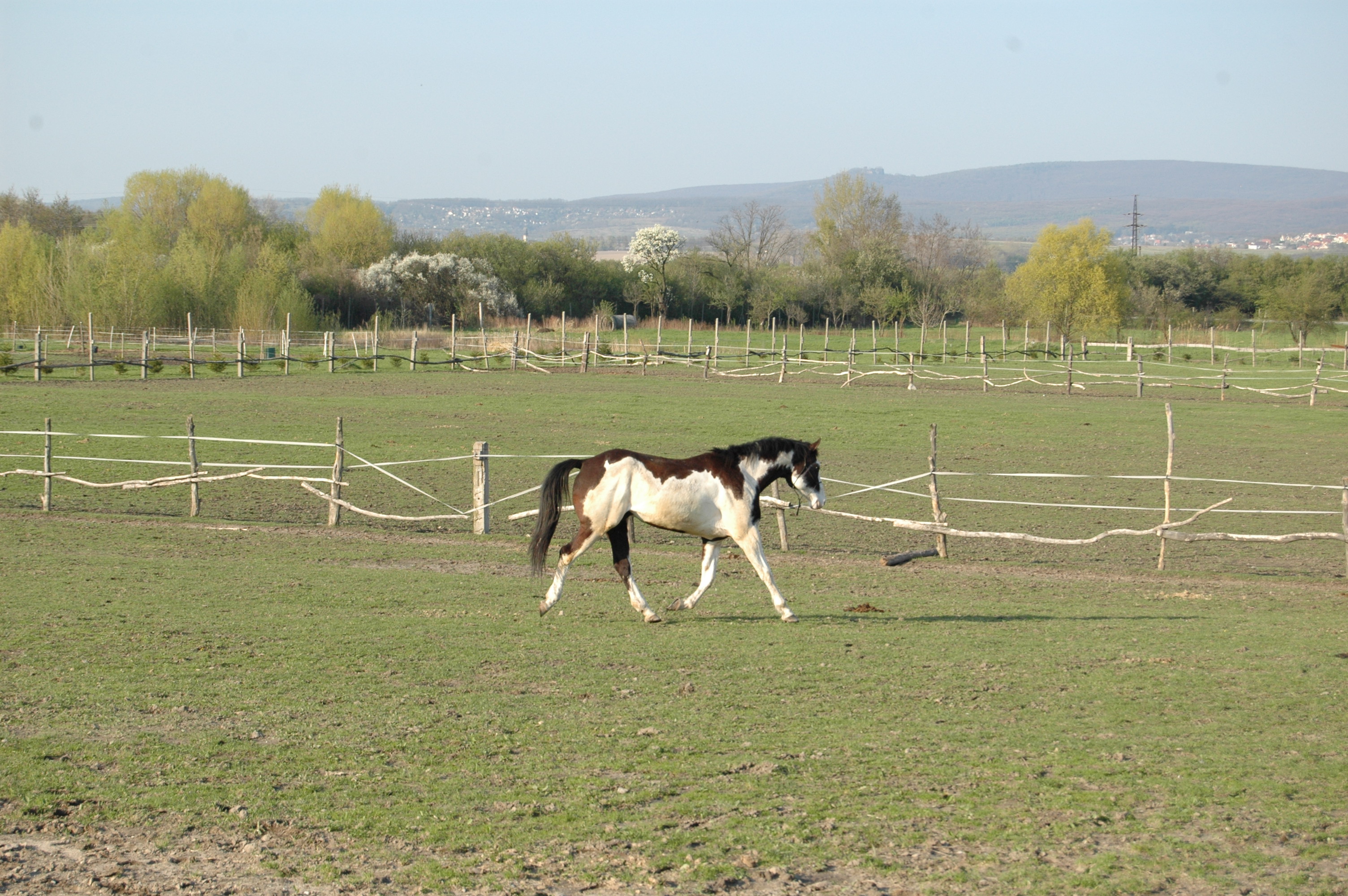 DSC_5118.JPG