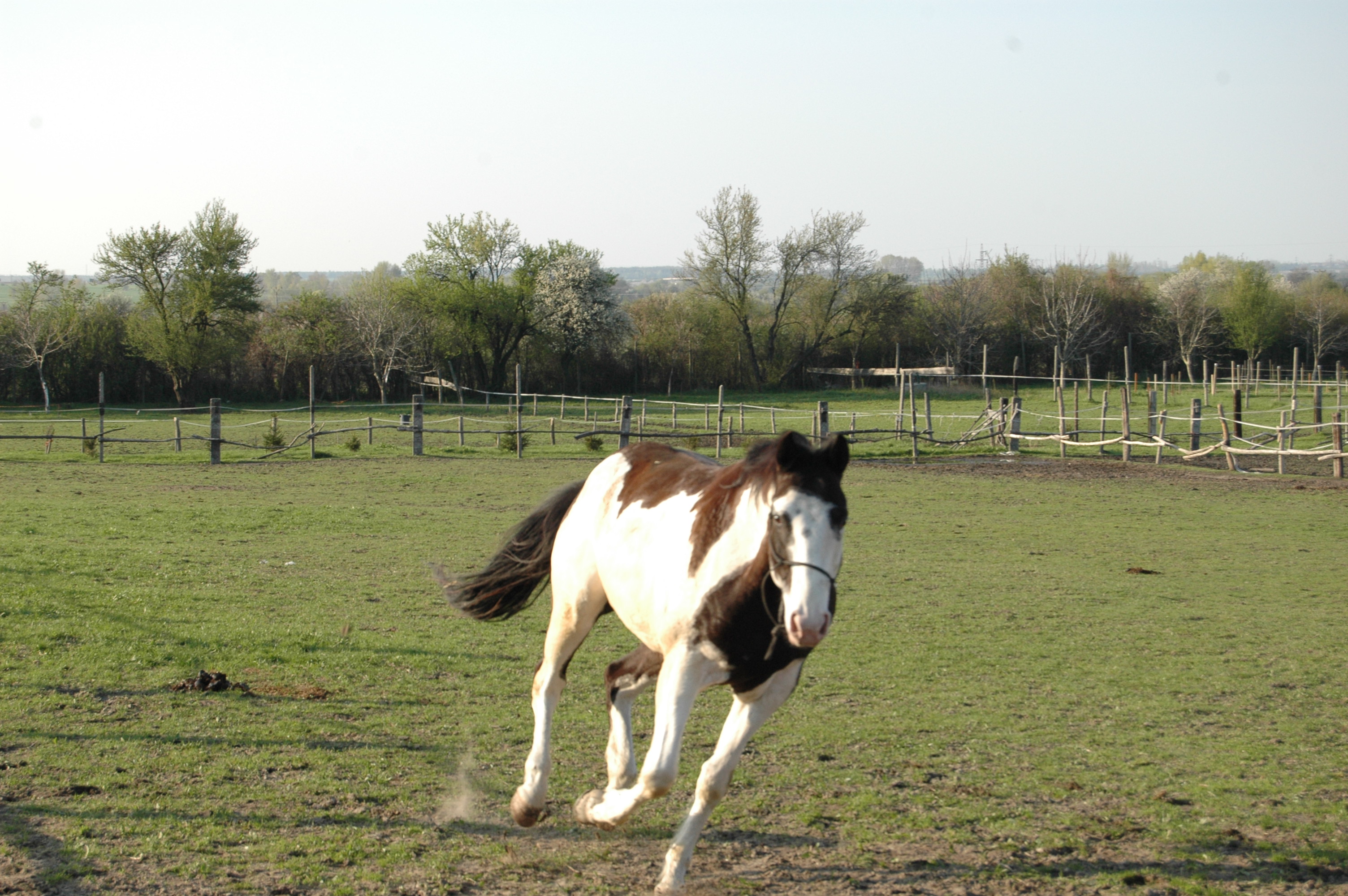 DSC_5131.JPG
