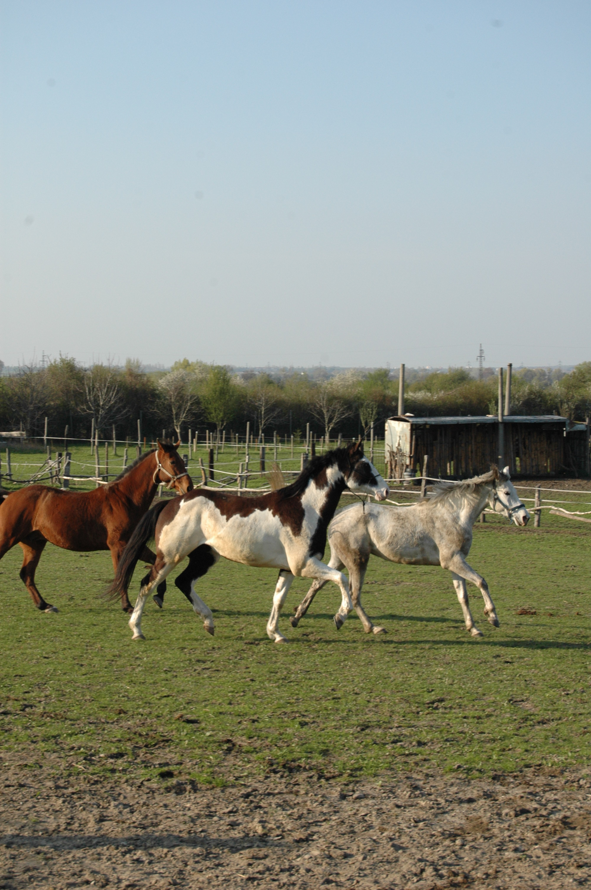 DSC_5142.JPG