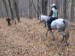november 2009 006.jpg